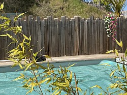 Petite pointe de couleur au bord de la piscine